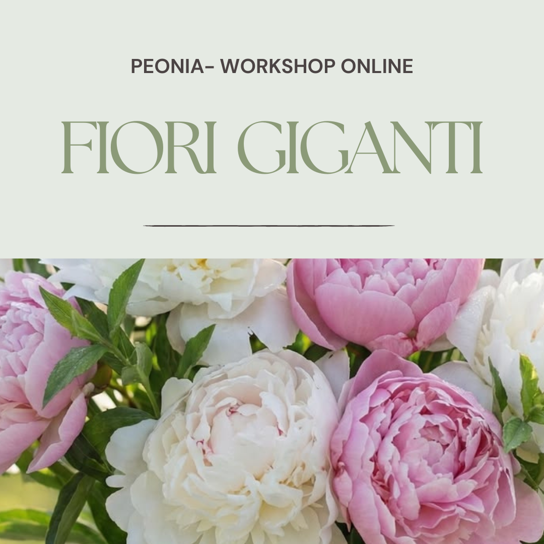 Corso Fiori Giganti: La Peonia