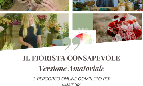 miniatura del corso