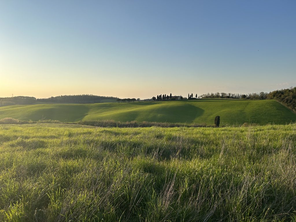 nature coaching e forest bathing