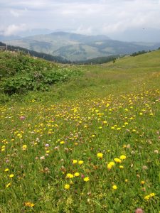 natura e benessere
